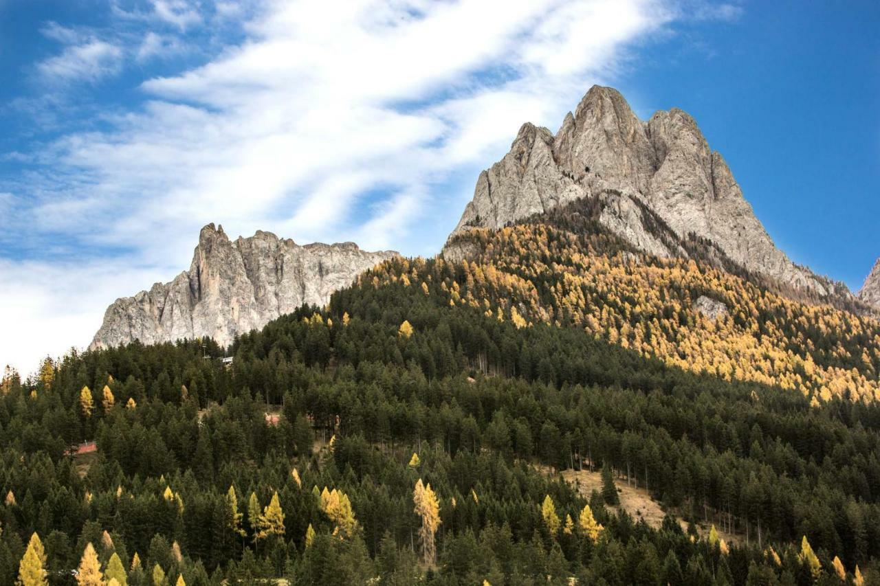 Apartament Wellness Fassa Pozza di Fassa Zewnętrze zdjęcie